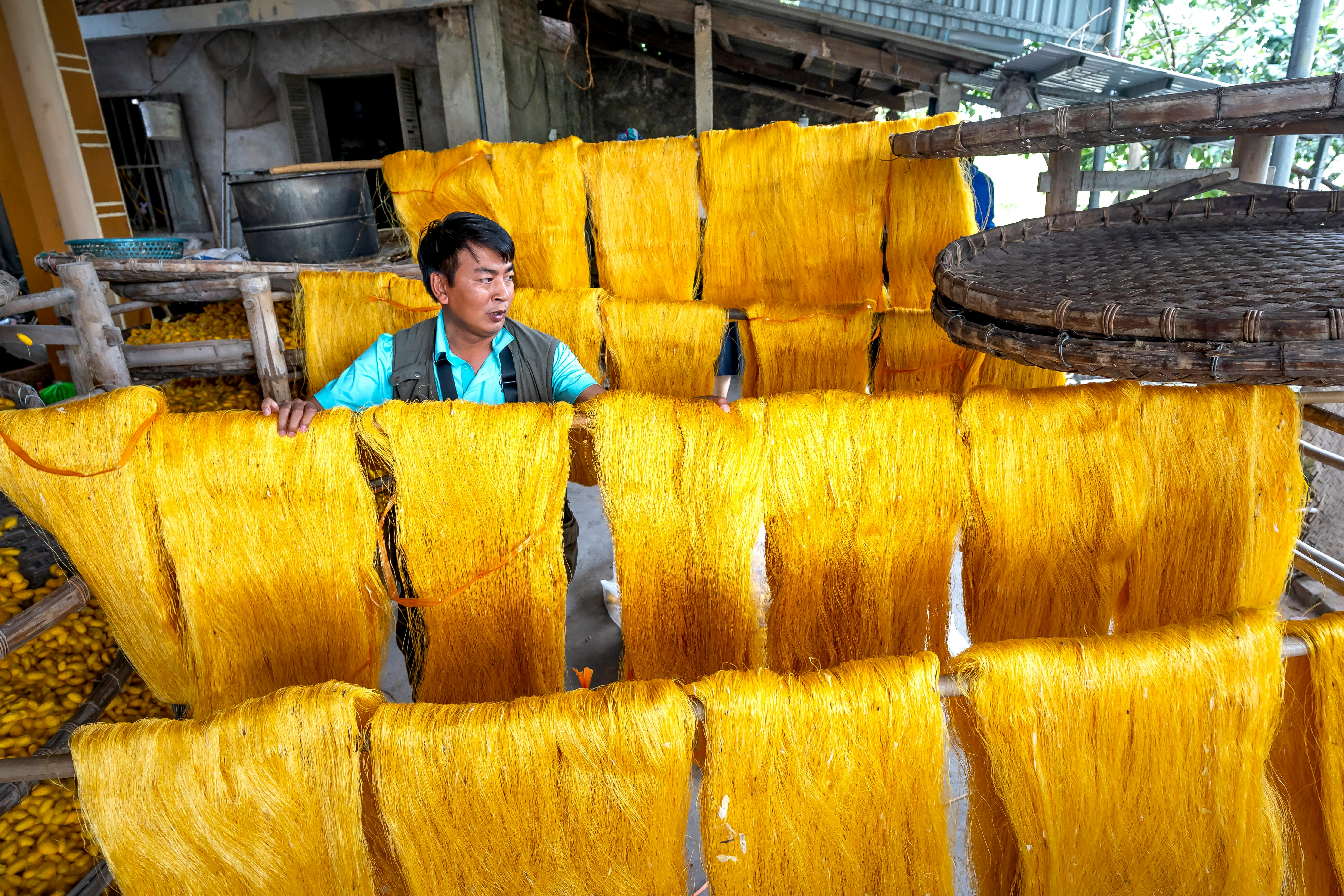 silk production